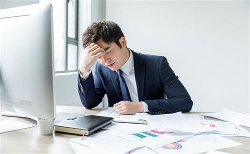 上海人力資源管理師培訓(xùn)全方位指南 機(jī)構(gòu)選擇、費(fèi)用解析與備考策略